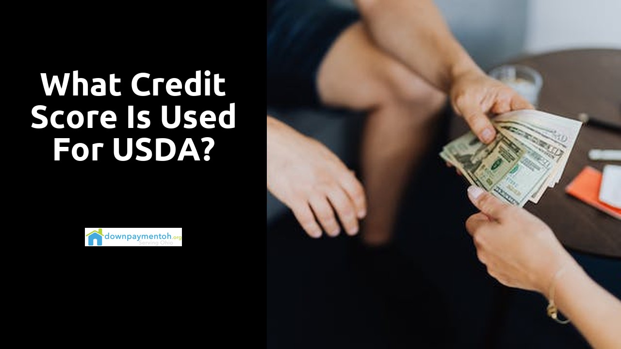 What credit score is used for USDA?